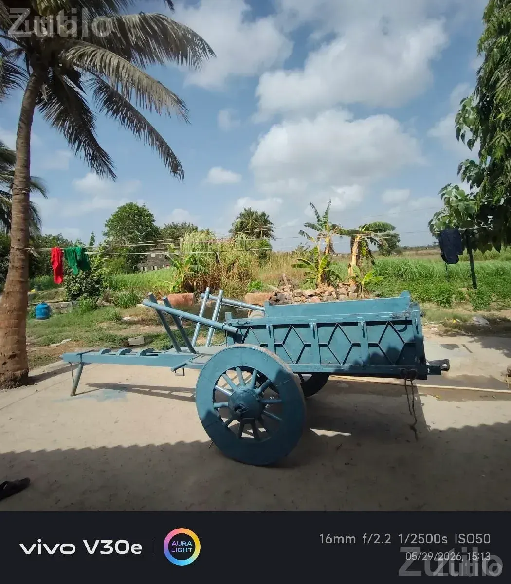 Iron Bullock Cart for Farm Transport - અન્ય ઔદ્યોગિક વસ્તુઓ - સુત્રાપાડા - Image 2
