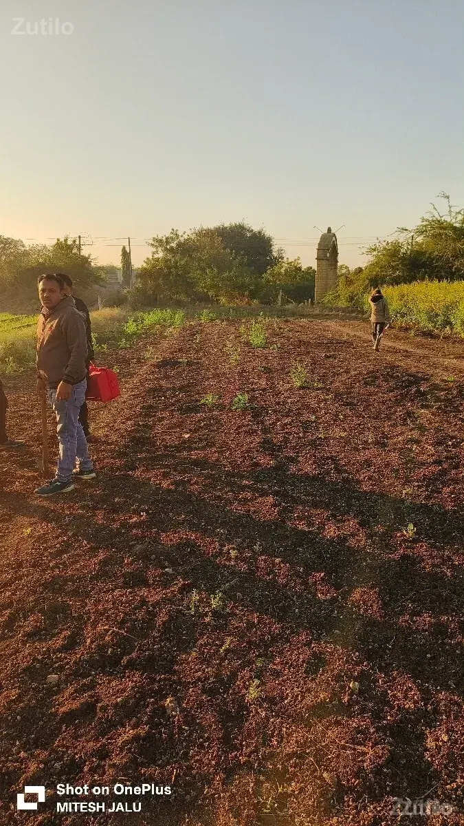 2.5વિઘા જમીન...... - Land & Plots - Manavadar - Image 3