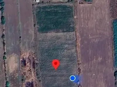 12 Vigha Fertile Agricultural Land Plot 12 Vigha Fertile Agricultural Land Plot