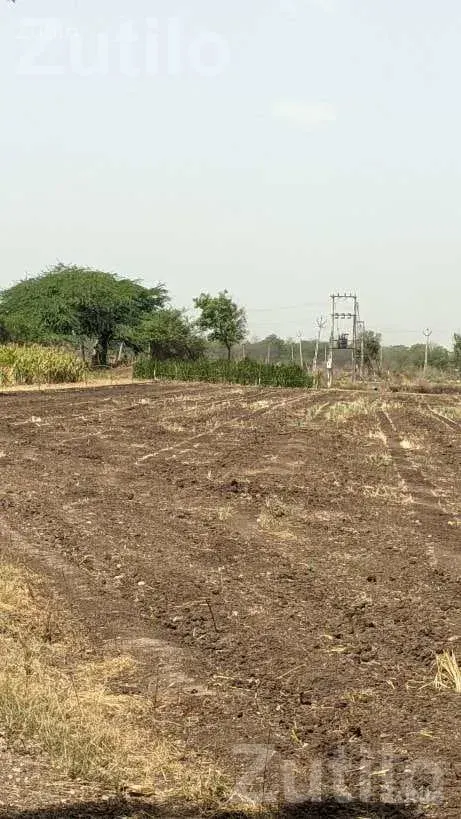 Agricultural Land 8 Vigha 5 Guntha with Well - જમીન અને પ્લોટ - અમરેલી - Image 2