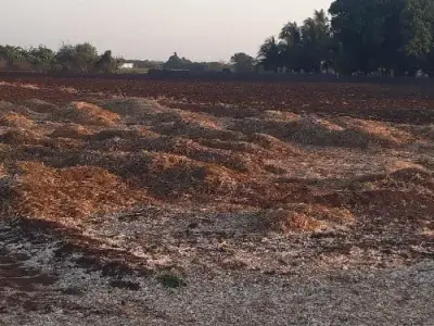 4 Vigha Agricultural Land for Sale 4 Vigha Agricultural Land for Sale