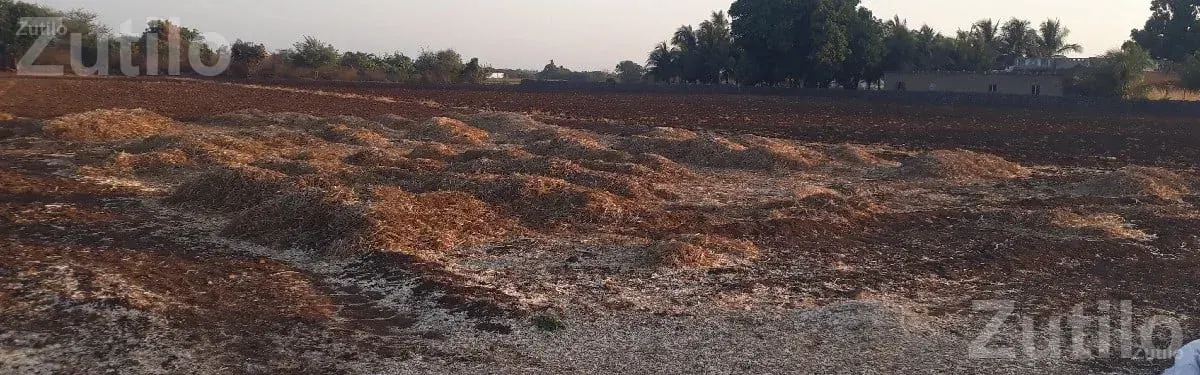 4 Vigha Agricultural Land for Sale - Land & Plots - Junagadh City - Image 1