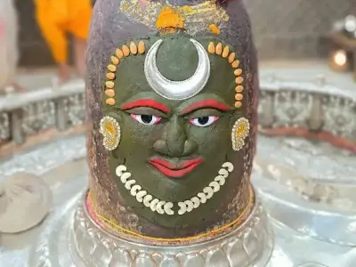 *જમીન લે વેચ માટે સંપર્ક કરો* *જમીન લે વેચ માટે સંપર્ક કરો*