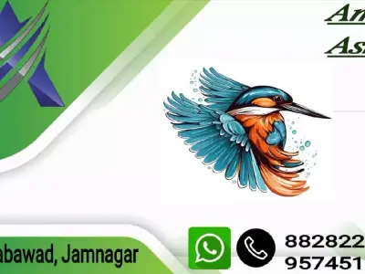 ફેન્સીંગનું કામ કરી દેવામાં આવશે ફેન્સીંગનું કામ કરી દેવામાં આવશે