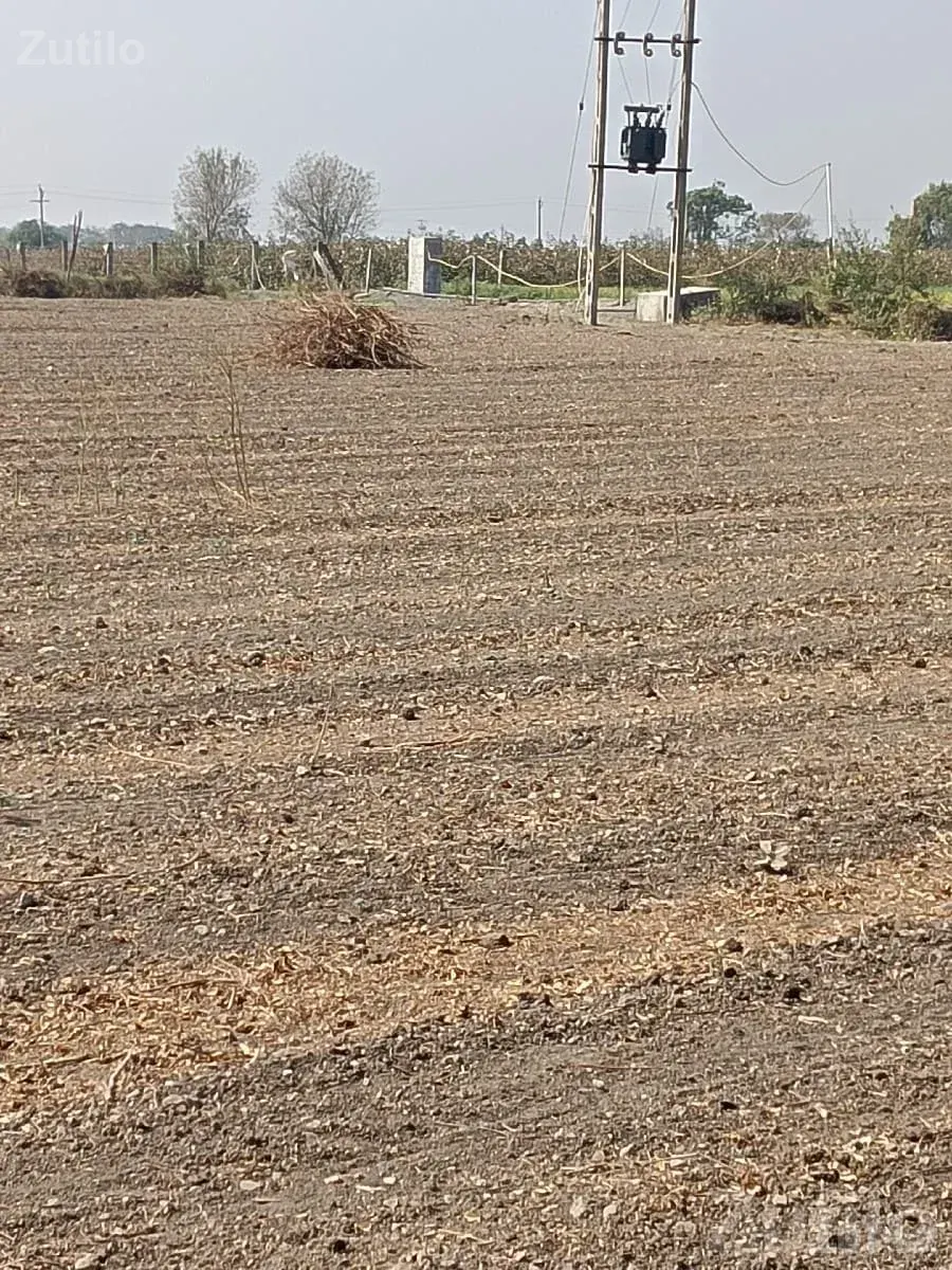 Agricultural Land for Sale in Khadiya - Land & Plots - Manavadar - Image 3