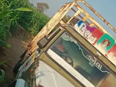 Mahindra Bolero Pickup 2010 for Sale