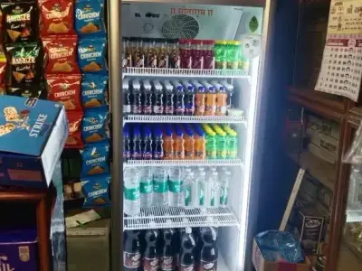 Elanpro Commercial Display Refrigerator Elanpro Commercial Display Refrigerator