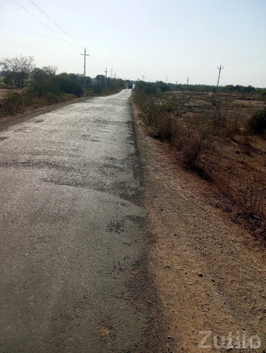 Agricultural Land for Sale in Rajpara - Land & Plots - Jamkandorna - Image 3