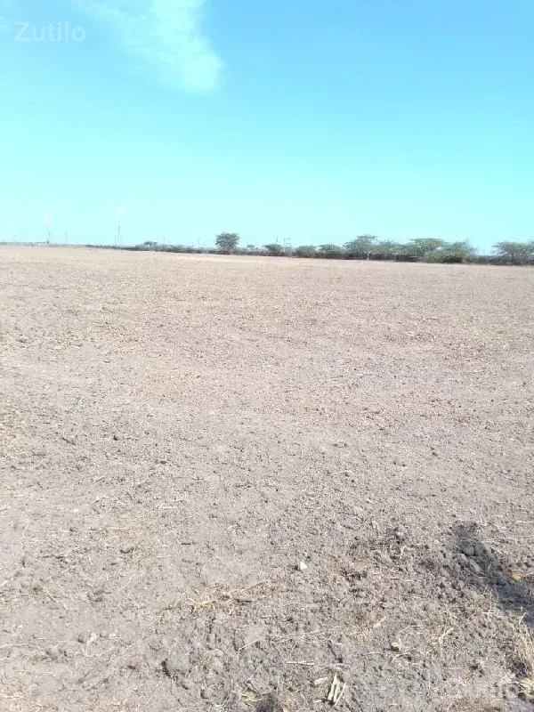 જમીન વેચવાની - Land & Plots - Vadodara City - Image 3
