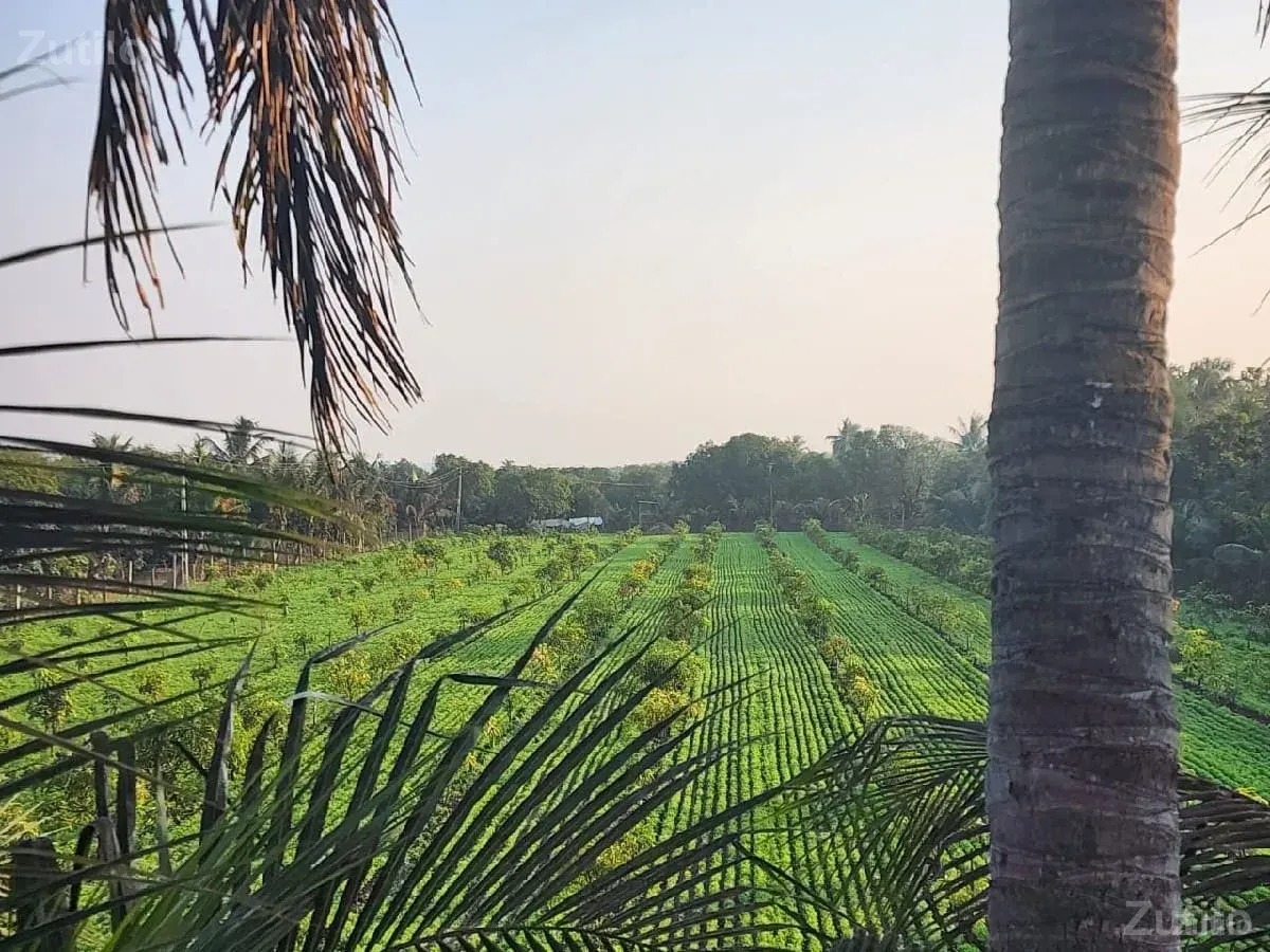 જમીન વેચવાની છે 
19 વીઘા જામીન 
વિધ - Land & Plots - Mendarda - Image 2