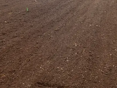 જમીન સાવરકુડલા જમીન સાવરકુડલા