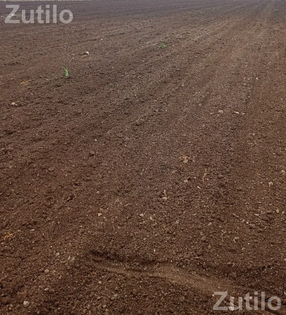 જમીન સાવરકુડલા - Land & Plots - Savarkundla - Image 1
