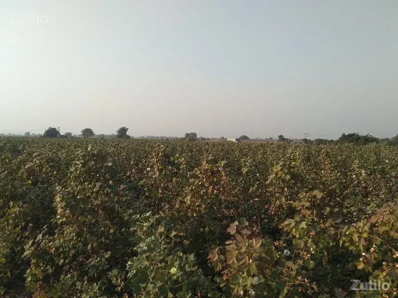 જમીન વેચવાની છે - Land & Plots - Rajkot City - Image 2