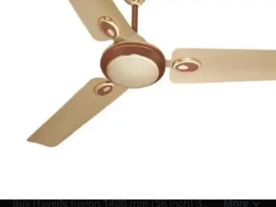 Fan Fan