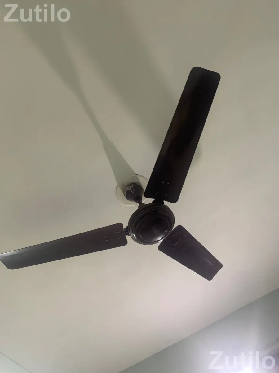 5 ceiling fans with running conditions - Fans - Ahmedabad City - Image 1