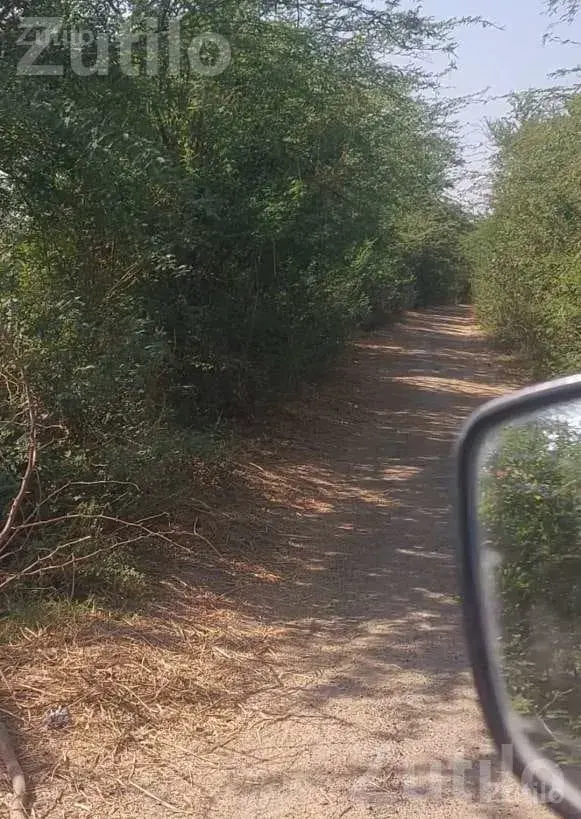 1 Vidho Agricultural Land for Sale - Land & Plots - Matar - Image 2
