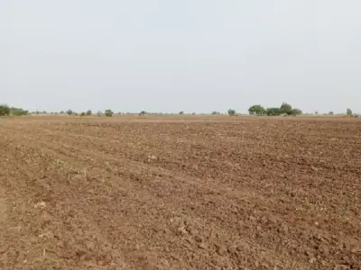 Savarkundla Fertile Agricultural Land Savarkundla Fertile Agricultural Land
