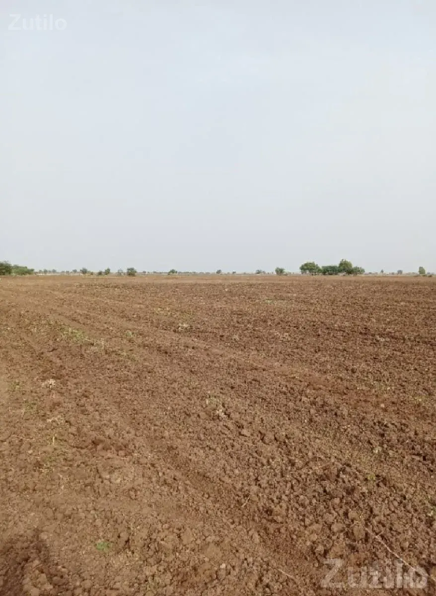 Savarkundla Fertile Agricultural Land - Land & Plots - Savarkundla - Image 1