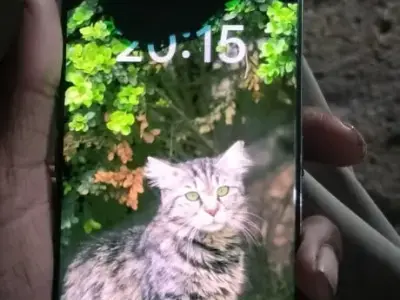 OPPO Reno8 T Smartphone OPPO Reno8 T Smartphone
