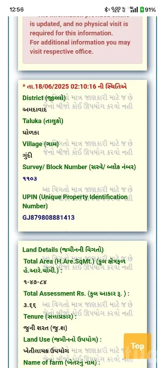 Gundi Dholka Road-Touch Farmland Plot - Land & Plots - Dholka - Image 2