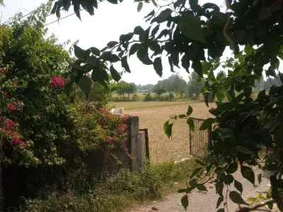 જમીન વેચવાની છે જમીન વેચવાની છે