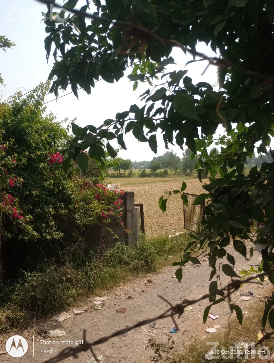જમીન વેચવાની છે - Land & Plots - Nadiad - Image 1