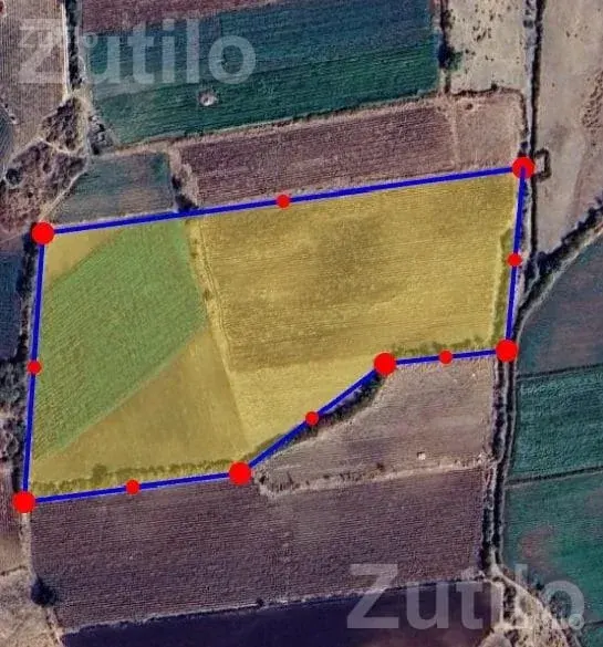 10.5 Vigha Agricultural Land for Sale - Land & Plots - Dhari - Image 3