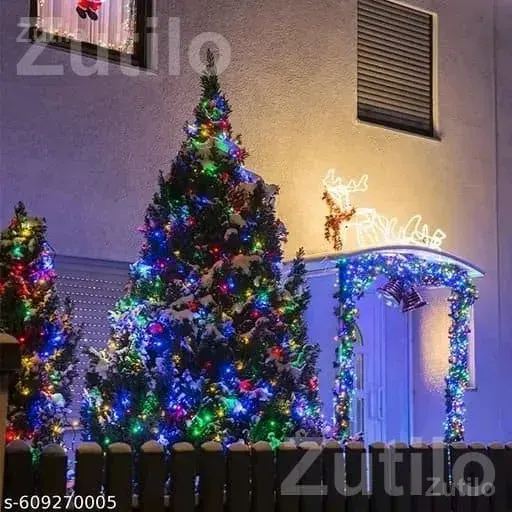 Multicolor Diwali Rice Lights 11 Meter - Other Home Appliances - Vyara - Image 2