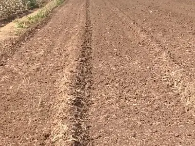 13 વીઘા જમીન 13 વીઘા જમીન
