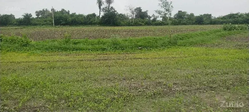 જમીન વેચવાની છે - Land & Plots - Somnath - Image 3