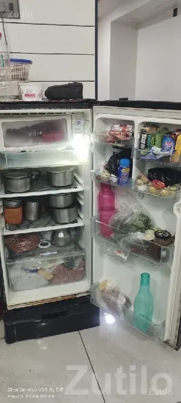 Single Door Floral Design Fridge - Refrigerators - Khambhalia - Image 2