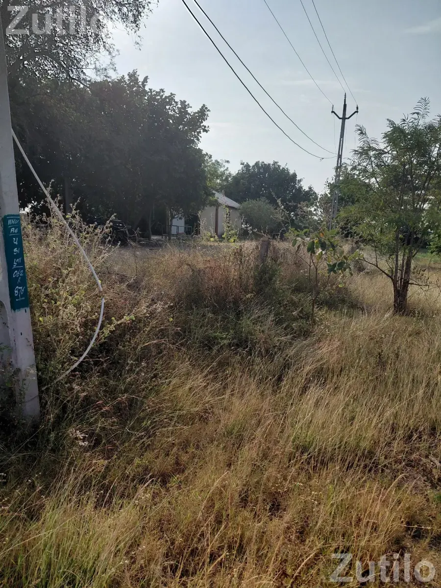 9 vigha jamin vechani se - Land & Plots - Gadhada - Image 2