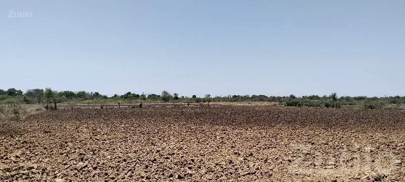 Santalpur Fertile Agricultural Land Sale - જમીન અને પ્લોટ - સાંતલપુર - Image 3