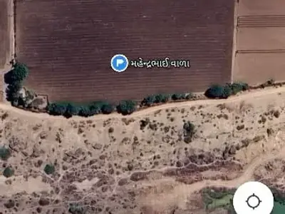 Fertile Agricultural Land for Sale, Dhoraji