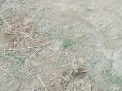 જમીન વેચવાની છે જમીન વેચવાની છે