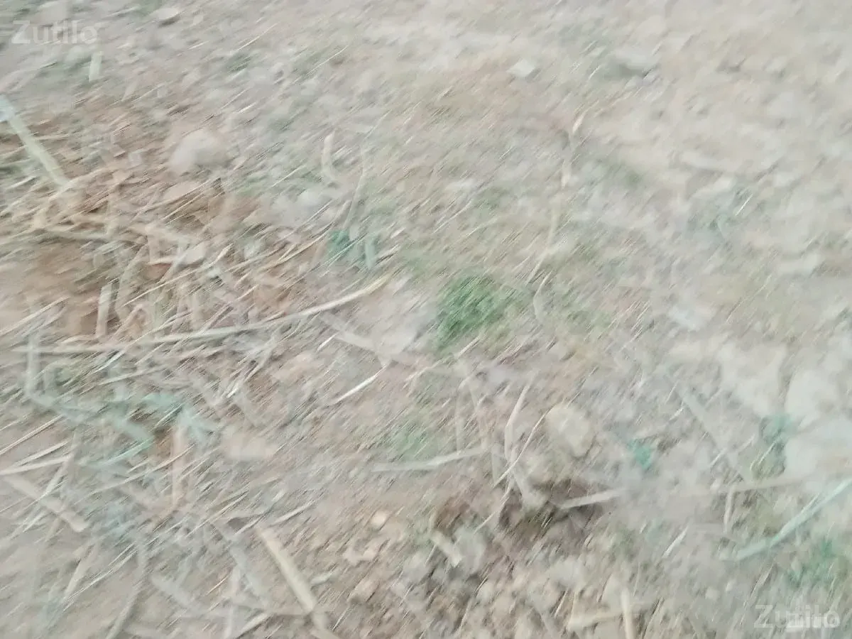 જમીન વેચવાની છે - Land & Plots - Rajkot City - Image 1