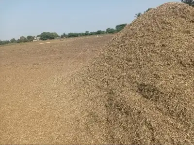 માંડવીયુ વેશવાનું સે માંડવીયુ વેશવાનું સે