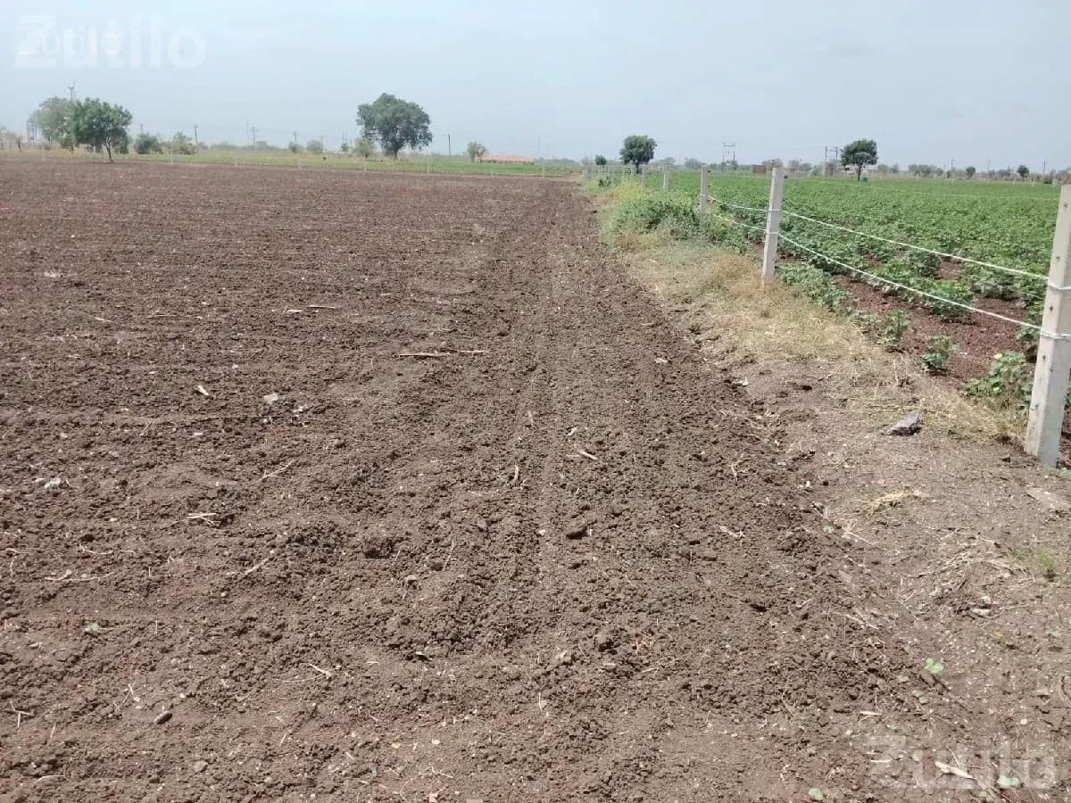 Agricultural Land for Sale - Land & Plots - Wankaner - Image 2