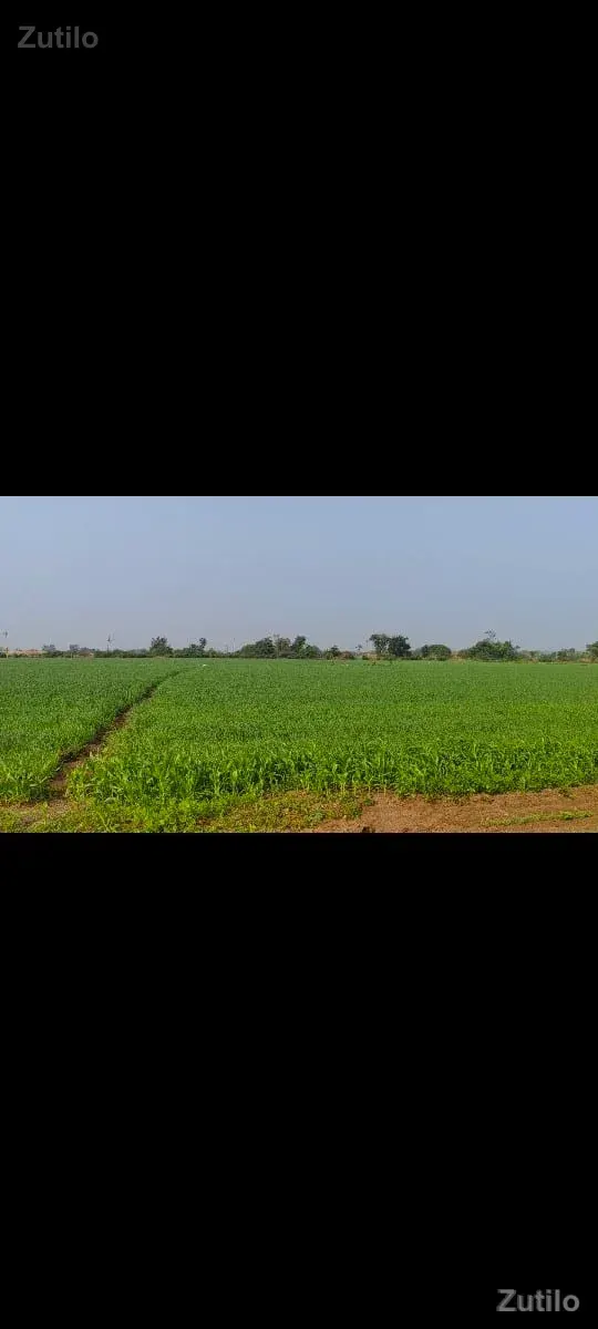 ખેતીની જમીન વેચવાની છે - Land & Plots - Gandhinagar City - Image 2