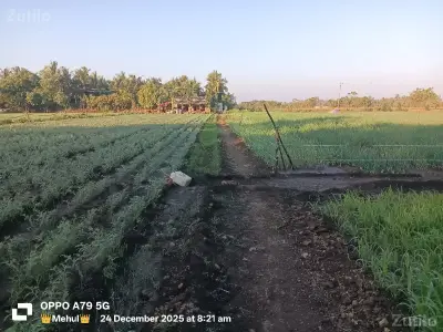 જમીન વેસવાની છે. જમીન વેસવાની છે.