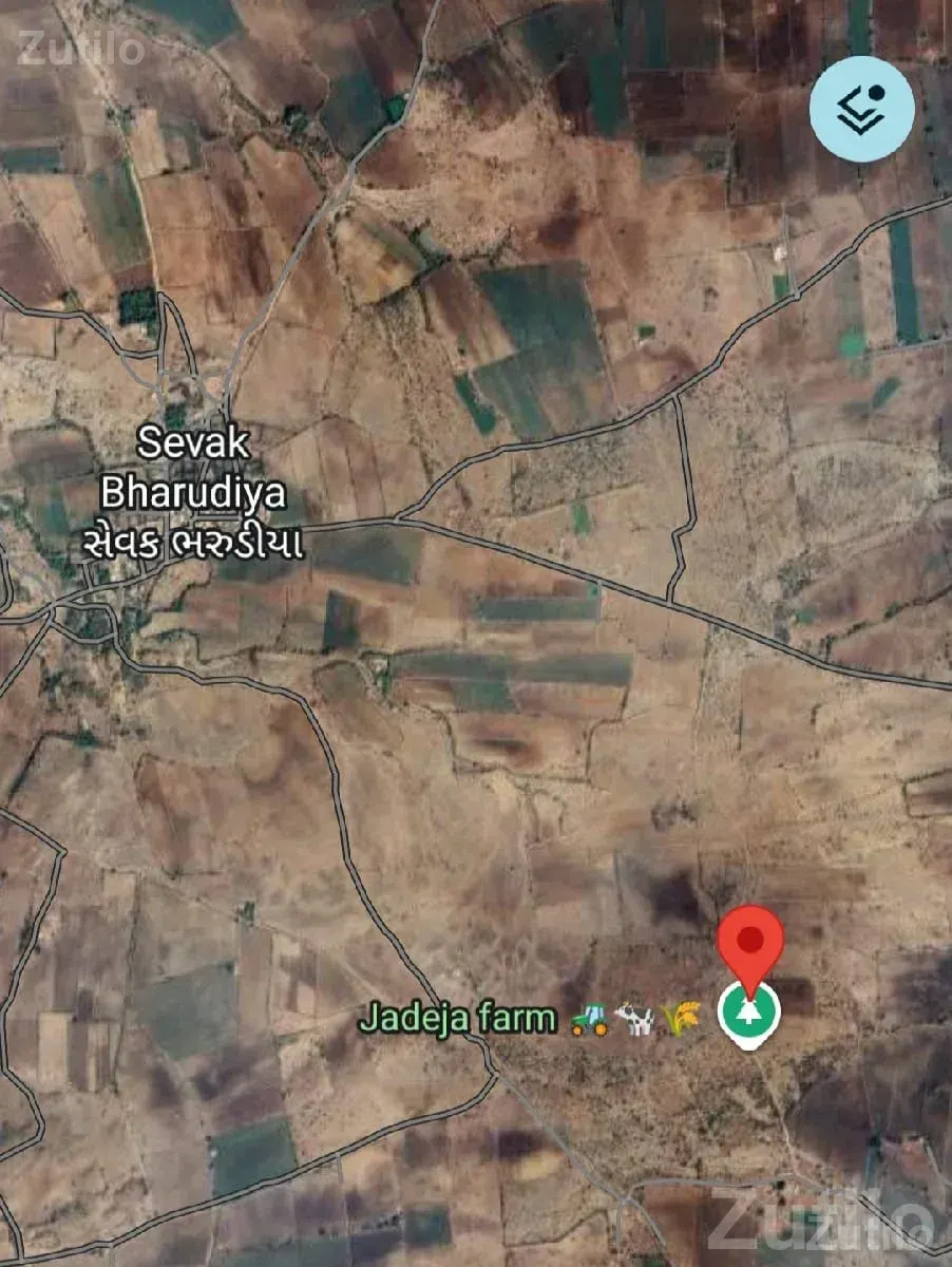 12.5 Bigha Open Land for Sale, Motirafudad - જમીન અને પ્લોટ - લાલપુર - Image 3