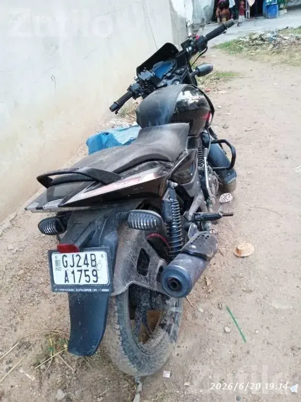 Bajaj Pulsar 125cc 2024 Model Bike - Bikes - Amirgadh - Image 2