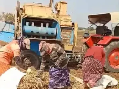 Jayant Agricultural Thresher Machine