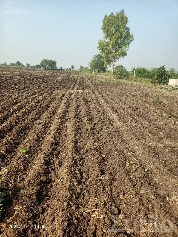 Fertile Agricultural Land for Sale Rajkot - Land & Plots - Rajkot City - Image 1