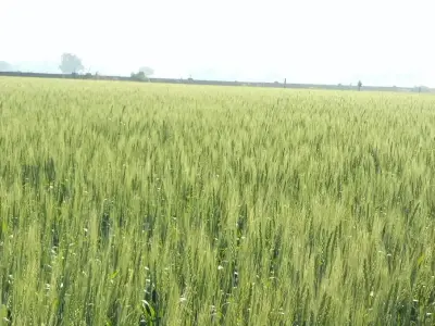 જમીન વેચવાની જમીન વેચવાની