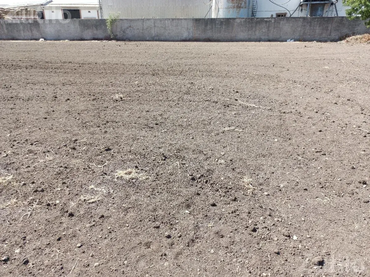 4 Bigha Open Land for Rent with Labour Quarter - Land & Plots - Tankara - Image 2