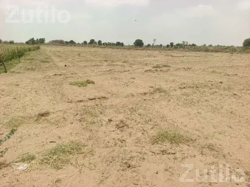 4 Acre Agricultural Land Near Main Highway - જમીન અને પ્લોટ - થરાદ - Image 3