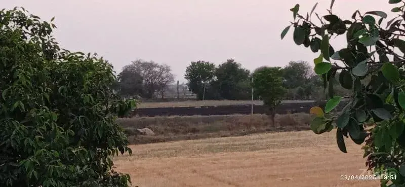 જમીન વેચવાની છે - જમીન અને પ્લોટ - ઊના - Image 2