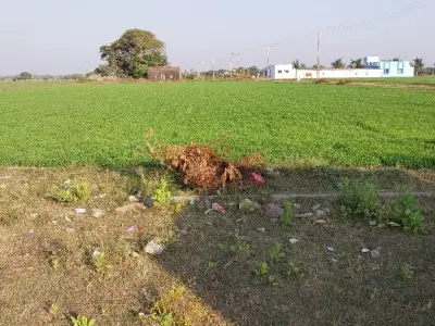 jamin vesh Vani se jamin vesh Vani se