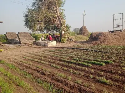 જમીન વેચવાની છે. જમીન વેચવાની છે.